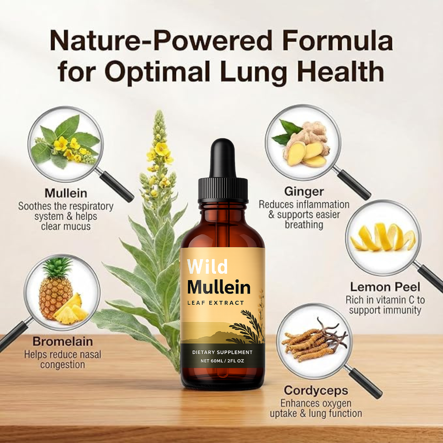 Wild Mullein Leaf Extract
