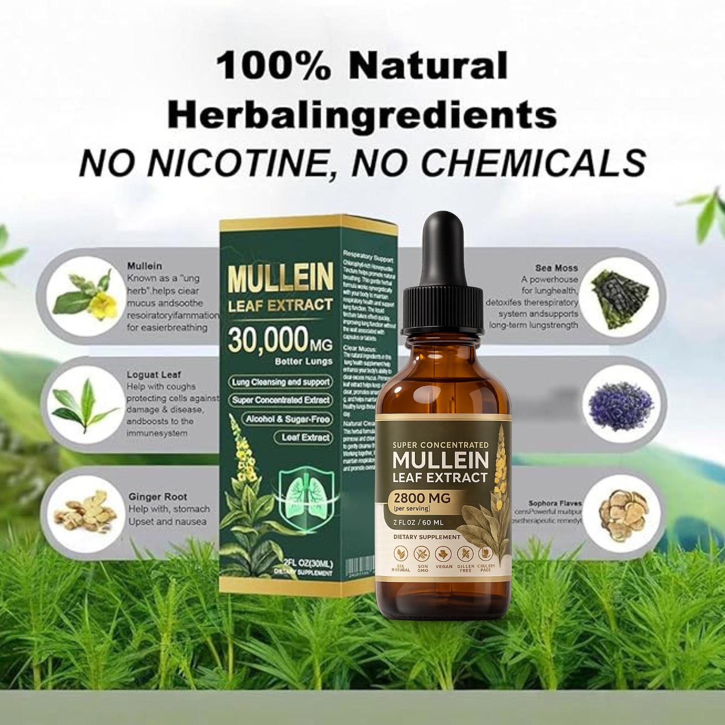 Super-Concentrated Mullein Drops