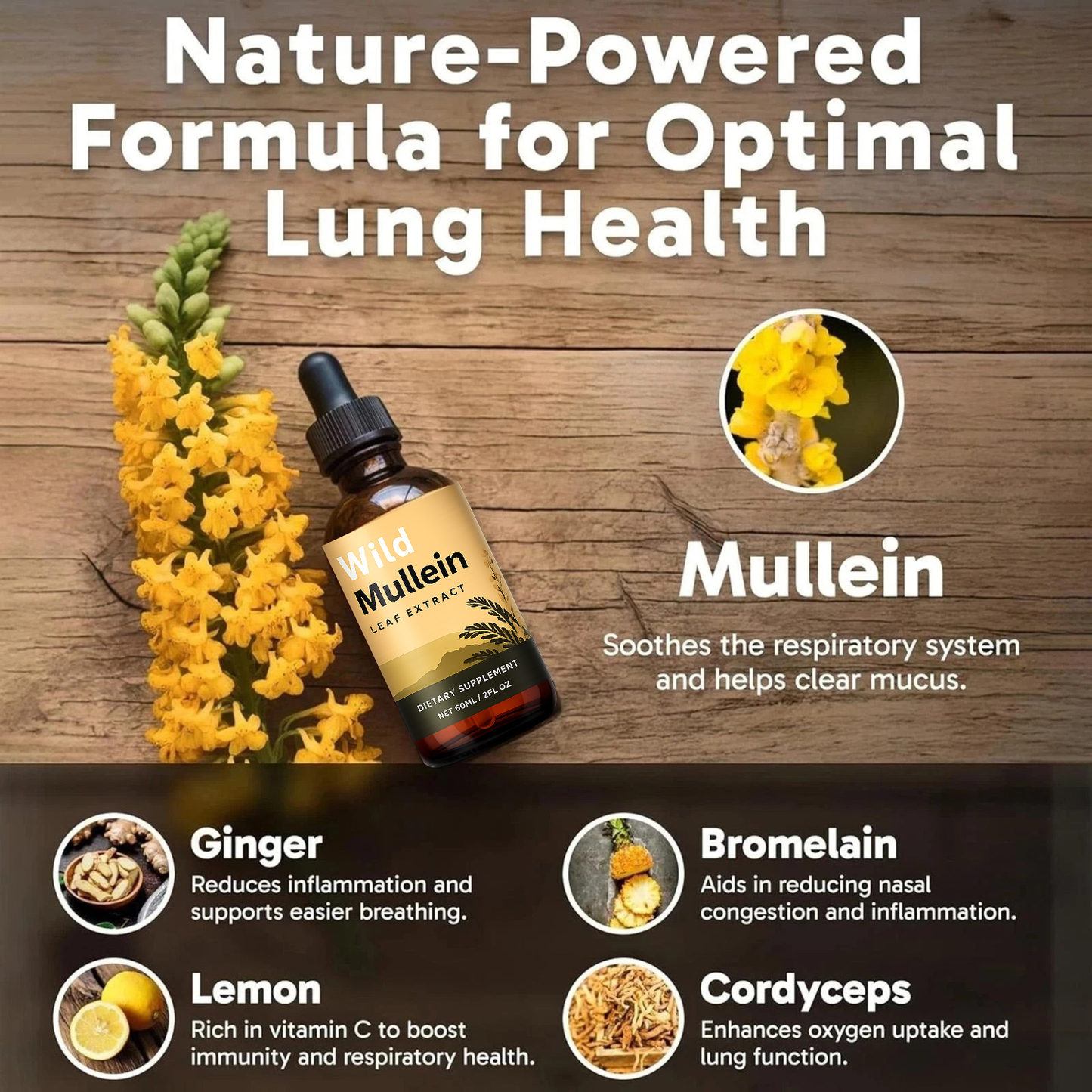 Wild Mullein Leaf Extract
