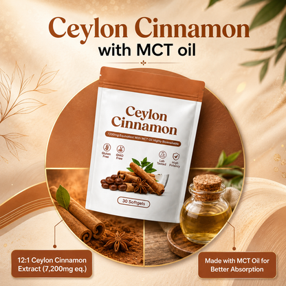 Ceylon Cinnamon 7200mg Equivalent with MCT Oil